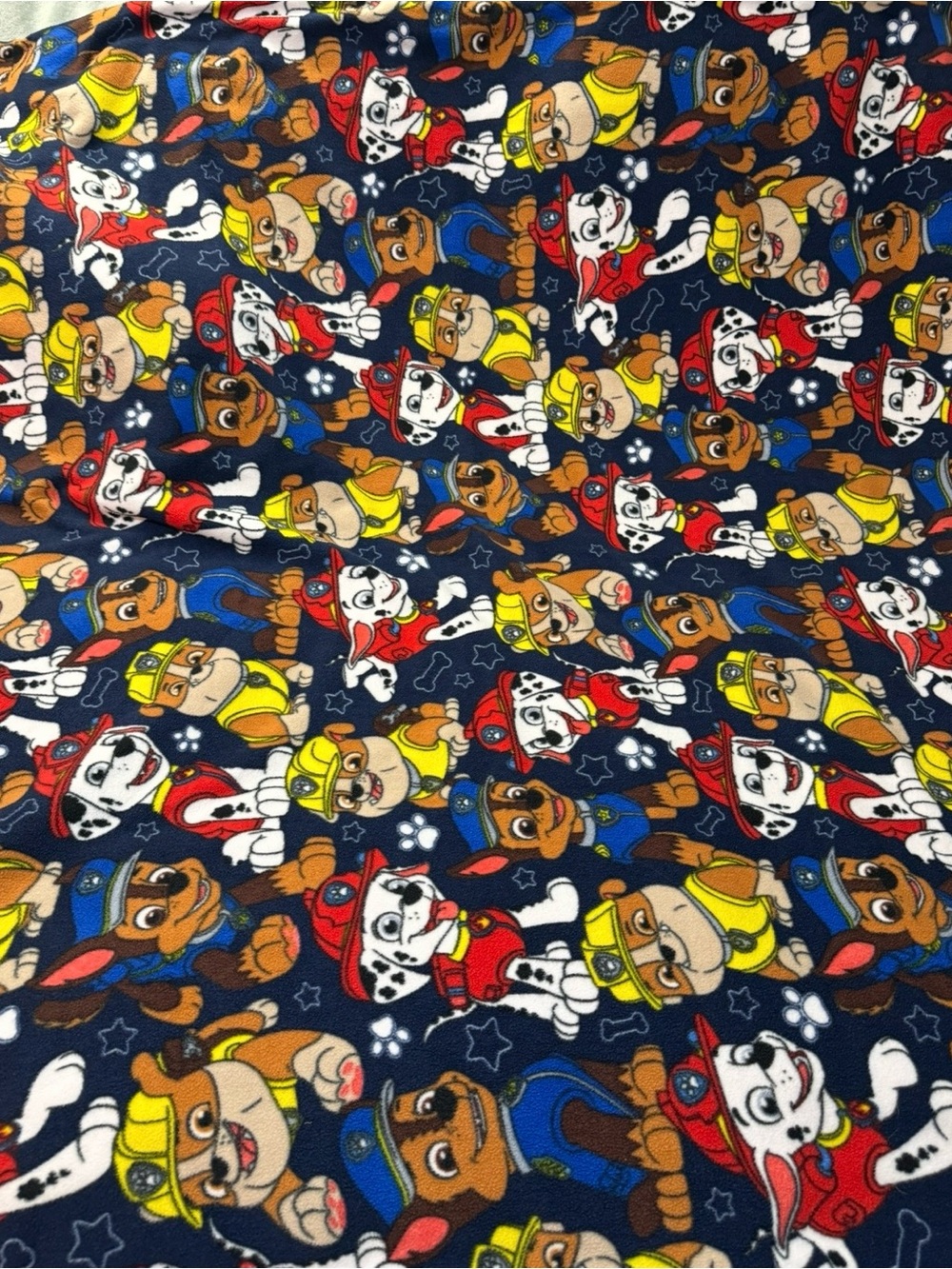 Paw Patrol Character Reversible 54” X 59” Sewn Throw